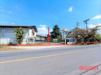https://ww.ohoproperty.com/157306/ธนาคารกสิกรไทย/ขายโกดัง/นครเจดีย์/ป่าซาง/ลำพูน/