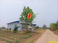 https://ww.ohoproperty.com/199706/ธนาคารกสิกรไทย/ขายโกดัง/หันนางาม/ศรีบุญเรือง/หนองบัวลำภู/