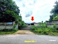 https://ww.ohoproperty.com/204867/ธนาคารกสิกรไทย/ขายโกดัง/นาอ้อ/เมืองเลย/เลย/