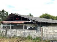 https://ww.ohoproperty.com/212878/ธนาคารกสิกรไทย/ขายฟาร์ม/นาแขม/เมืองเลย/เลย/