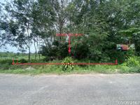 https://ww.ohoproperty.com/205029/ธนาคารกสิกรไทย/ขายสวนเกษตร/พะตง/หาดใหญ่/สงขลา/