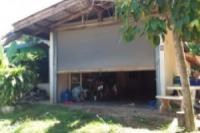 บ้านเดี่ยวหลุดจำนอง ธ.ธนาคารไทยพาณิชย์ •ดอกไม้ •สุวรรณภูมิ •ร้อยเอ็ด
