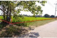 https://ww.ohoproperty.com/220457/ธนาคารไทยพาณิชย์/ขายที่ดินว่างเปล่า/เมืองเก่า/เมืองพิจิตร/พิจิตร/
