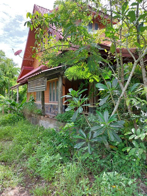 https://ww.ohoproperty.com/185355/ธนาคารกรุงเทพ/ขายบ้าน/ท่ายาง/เมืองชุมพร/ชุมพร/