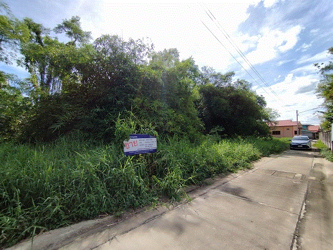 https://ww.ohoproperty.com/185271/ธนาคารกรุงเทพ/ขายที่ดิน/ท่าตำหนัก/นครชัยศรี/นครปฐม/