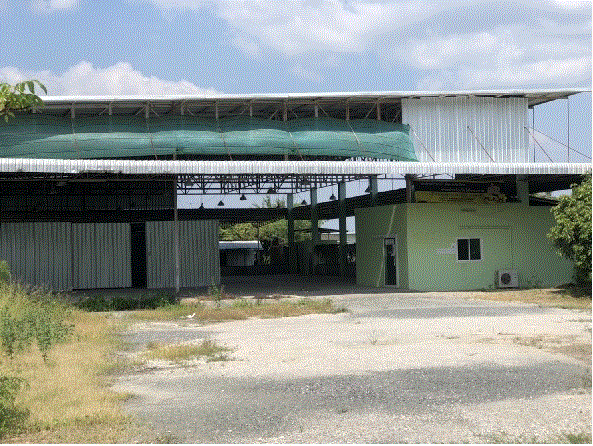 https://ww.ohoproperty.com/185516/ธนาคารกรุงเทพ/ขายโรงงาน/หนองแฝก/สารภี/เชียงใหม่/