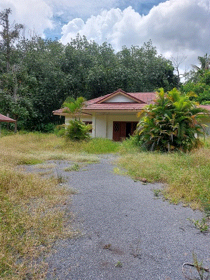https://ww.ohoproperty.com/209537/ธนาคารกรุงเทพ/ขายบ้าน////