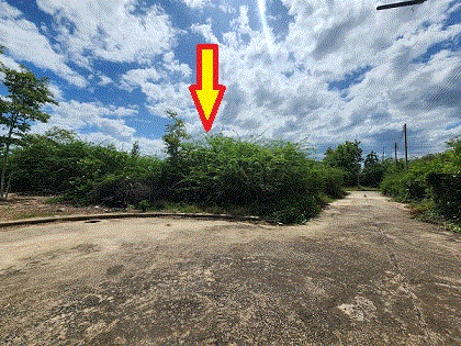 https://ww.ohoproperty.com/206062/ธนาคารกรุงเทพ/ขายที่ดิน////