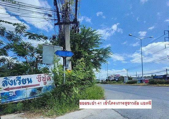 https://ww.ohoproperty.com/215419/ธนาคารกรุงเทพ/ขายทาวน์เฮ้าส์////