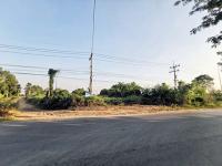 https://ww.ohoproperty.com/186626/ธนาคารทหารไทยธนชาต/ขายที่ดินเปล่า/-/บึงสามัคคี/กำแพงเพชร/
