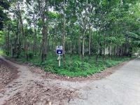 https://ww.ohoproperty.com/186513/ธนาคารทหารไทยธนชาต/ขายที่ดินเปล่า/เกาะลันตาใหญ่/เกาะลันตา/กระบี่/